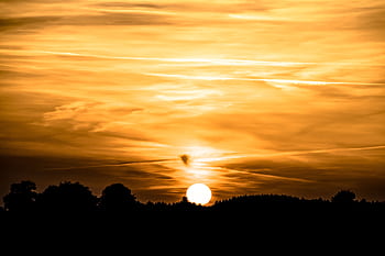 Stunning golden sunset with silhouetted trees and dramatic clouds on the horizon. HD wallpaper