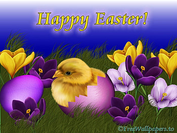 Happy easter to all!!!!!!!!, chicken, easter, spring, flower HD wallpaper