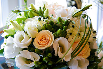 Plants, Roses, Bouquets HD wallpaper