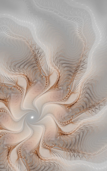 Abstract, Patterns, Fractal, Rotation, Swirling, Involute HD phone wallpaper