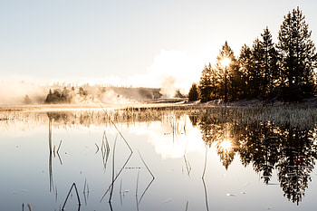 Nature, Grass, Reflection, Fog, Spruce, Fir HD wallpaper