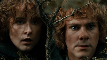 Merry and Pippin podcast, Hobbit life HD wallpaper