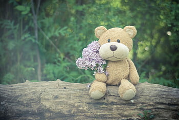Adorable teddy bear with lilac flowers on a log in a serene forest setting. HD wallpaper