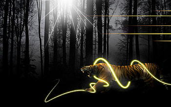 Darkforest Tiger, abstract, tiger, 3d, forest HD wallpaper