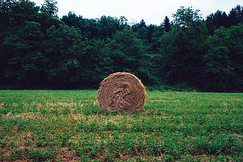 Nature, Grass, Forest, Hay, Stack, Rick HD wallpaper