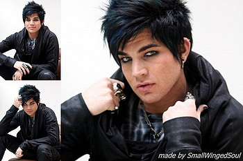 adam lambert :D, loll, lol HD wallpaper