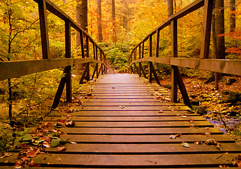 Wooden Bridge Forest Autumn Leaves, autumn, wood, wooden, bridge, forest, leaves, nature HD wallpaper