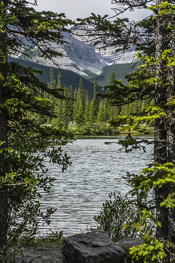 Nature, Water, Stones, Mountains, Lake, Branches HD phone wallpaper