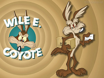 the coyote wile e., tv, cartoon, bugs, funny, coyote HD wallpaper