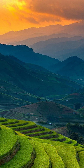 Rice farms landscape, Horizon mountains, Philippines HD phone wallpaper