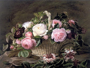 Basket of Roses & Honeysuckle, basket, leaves, roses, honeysuckle, painting, rock HD wallpaper