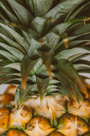 Pineapple, fruit, close up, leaves HD phone wallpaper
