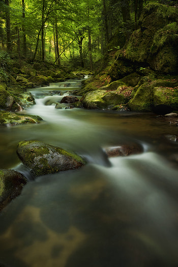 Nature, Stones, Rocks, Waterfall, Moss, Gloomy, Gloomily HD phone wallpaper