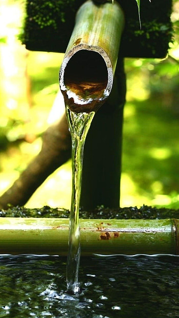 Water from Bamboo, water, bamboo, nature, green HD phone wallpaper