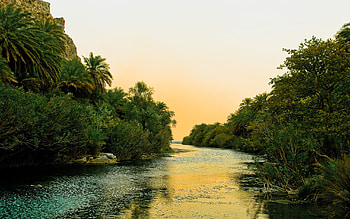 Landscape, Rivers, Palms HD wallpaper