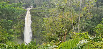 Akaka Falls, Hawaii, (The Big Island), Hawaii, Forest, Waterfall, Mist, Akaka, Island HD wallpaper