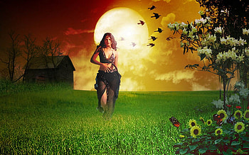 Preciosa soledad, love HD wallpaper