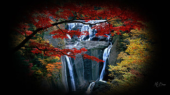 Fall Falls, fall, autumn, waterfalls, cliff, rocks, forest HD wallpaper