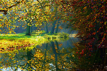 Sunny autumn day, pond, lake, rays, sunny, tranquility, glow, colors, park, reflection, branches, trees, forest HD wallpaper