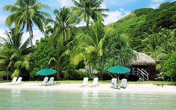 Nature, Beach, Sand, Palms, Shore, Bank, Hut, Sun Loungers, Sun Beds HD wallpaper