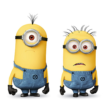minions | Minions in Despicable Me 2 - i HD phone wallpaper