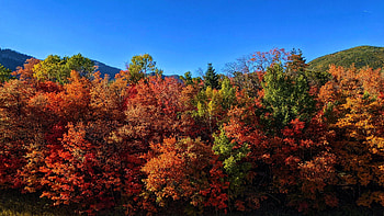 The colors are perfect right now at Sundance, Utah, leaves, fall, autumn, trees, colors, usa HD wallpaper