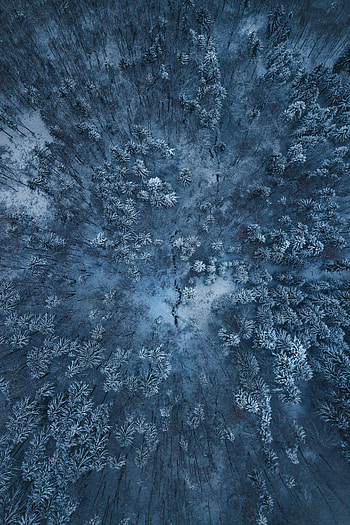 Nature, Snow, View From Above, Winter Forest HD phone wallpaper