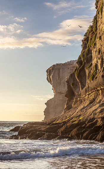 Nature, Birds, Waves, Rock, Precipice, Break HD phone wallpaper