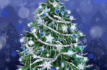 Holidays, Trees, New Year, Fir-Trees, Christmas, Xmas HD wallpaper