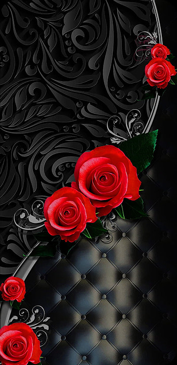Rose, hybrid tea rose, red HD phone wallpaper