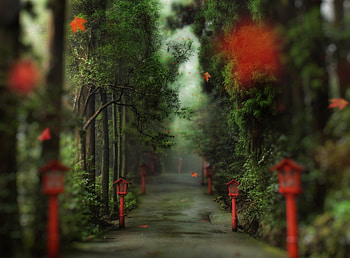 Alley In The Forest, lanterns, lamp, autumn, alley, forest HD wallpaper