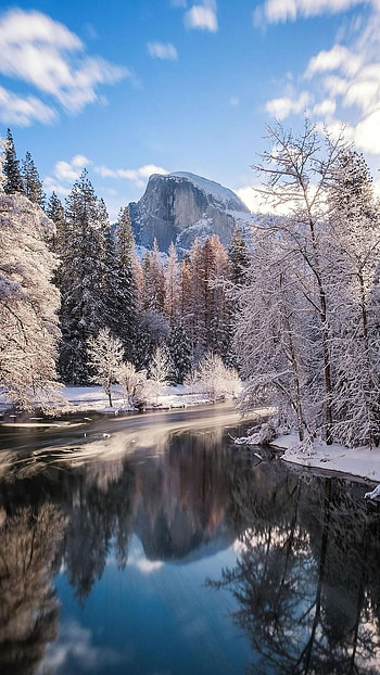 Winter, Winter Cool Background HD phone wallpaper