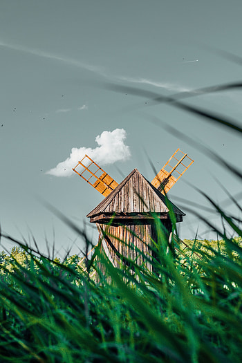Grass, Miscellanea, Miscellaneous, Wood, Wooden, Field, Old, Mill HD phone wallpaper