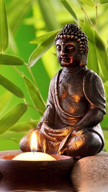 Bhagwan Buddha, Zen Forest, Buddha HD phone wallpaper
