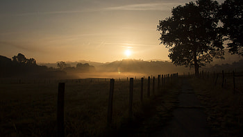 Fog, Fence, Shadow, Sunlight, Grass, Twilight, Trees, Dark, Background, Sky Dark Background HD wallpaper
