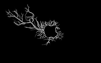 Apple Black And White Â» WallDevil - Best . HD wallpaper