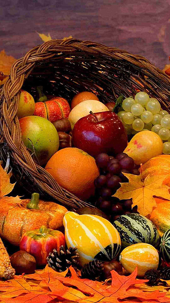 Various Autumn Fruit Harvest 2015 Thanksgiving 6 Plus - Pumpkin , Apple, Grape HD phone wallpaper