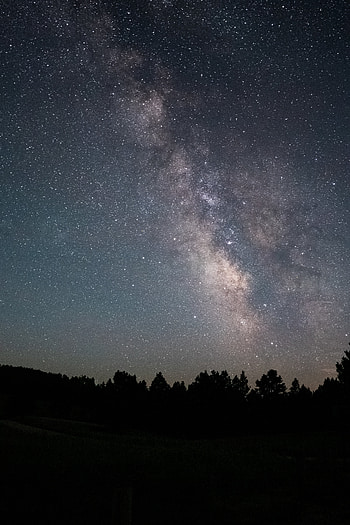Trees, Stars, Night, Dark, Starry Sky HD phone wallpaper