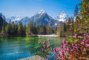 My Kind of Spring, spring, beauty, lake, reflection, snow, trees, nature, sky, flowers, forest, mountains HD wallpaper