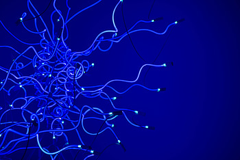 Miscellanea, Miscellaneous, Neon, Lamp, Wires, Wire HD wallpaper