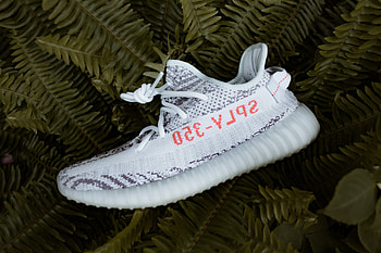 350 V2 Zebra, Yeezy HD wallpaper