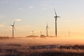 Wind turbines stand tall amidst a misty, sunrise landscape in Ontario, Canada, showcasing renewable energy. HD wallpaper