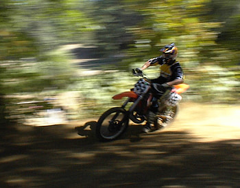 Into motion, motorcycle, other, trees, fun HD wallpaper