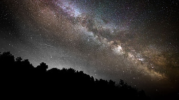 Trees Silhouettes Starry Sky During Nighttime graphy HD wallpaper