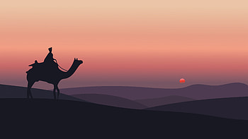 Camel Sahara Desert Minimal , camel, desert, minimalism, minimalist, artist, artwork, digital-art, behance HD wallpaper