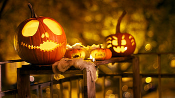 High-quality Halloween , resolution HD wallpaper