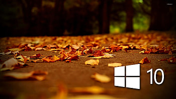 3847609-best---for-windows-10-by- HD wallpaper