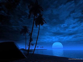 BLUSUNSET. jpg, moon water, nature, plamtrees HD wallpaper