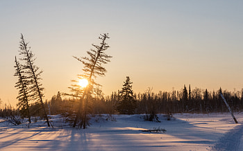 Winter, Nature, Trees, Sunset, Snow HD wallpaper