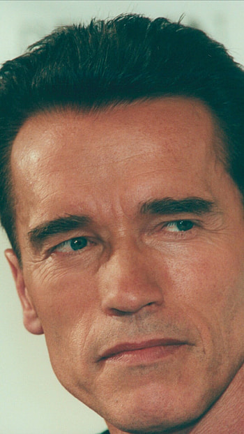Celebrity, Arnold Schwarzenegger, Iconic figure, Cultural icon HD phone wallpaper